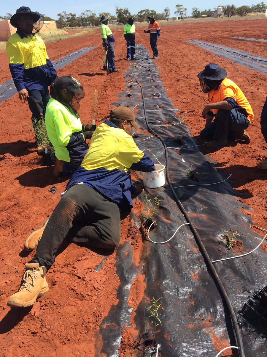 ARC Training Centre for Healing Country