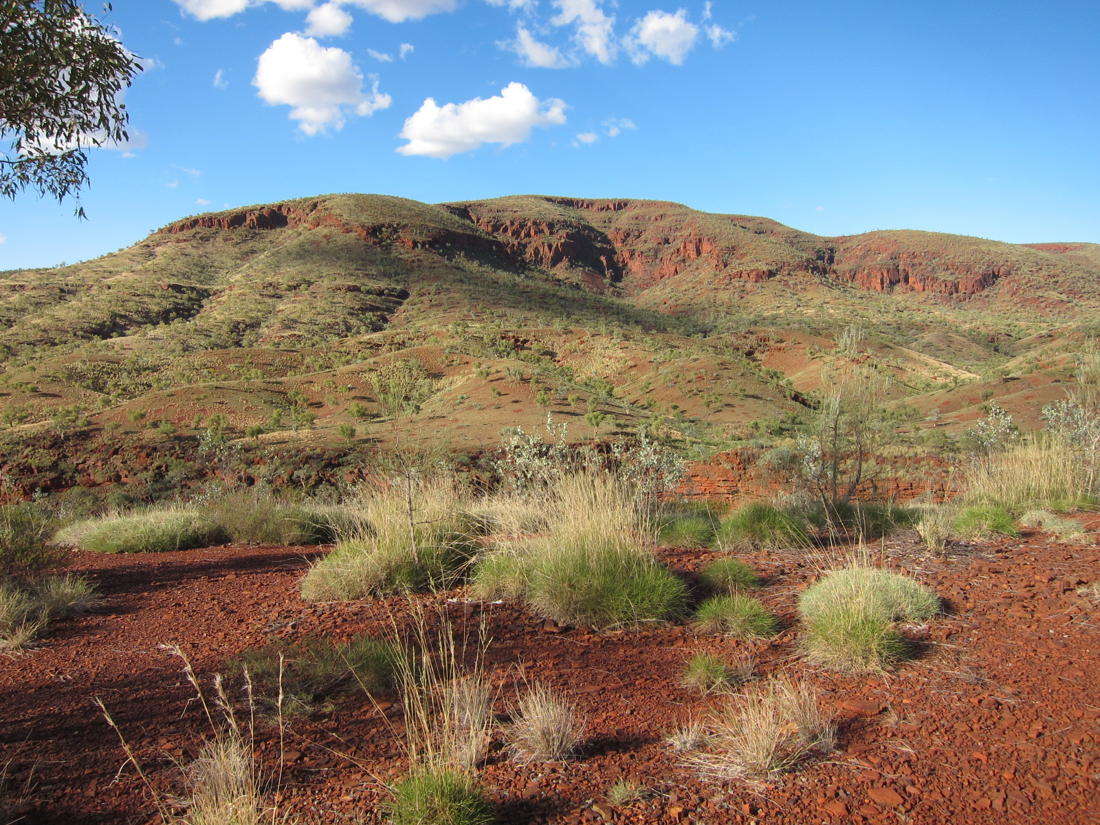 ARC Training Centre for Healing Country